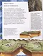 Большая энциклопедия школьника. Книга вопросов и ответов - фото 5