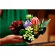 LEGO Botanical Collection: Суккуленты, 771 деталь (10309) - фото 5