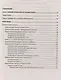 Русский язык. Карманный справочник - фото 4