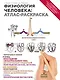 Физиология человека: атлас-раскраска - фото 1