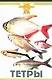 Тетры (цвет) - фото 1