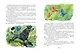 Золотой ключик, или Приключения Буратино (ил. В. Челака) - фото 8