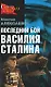 Последний бой Василия Сталина - фото 1