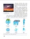 Естествознание. 5 класс. Учебник. В двух частях. Часть 1 - фото 5
