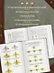 Общевоинские уставы Вооруженных Сил Российской Федерации и Устав военной полиции с воинскими символами и военными праздниками - фото 5