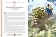 Мифы и легенды Древней Греции (ил. Д. Корси) - фото 7