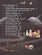 Энциклопедия для любознательных - фото 5
