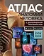 Атлас анатомии человека с дополненной реальностью - фото 1