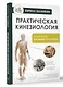 Практическая кинезиология. Упражнения для мышц-халтурщиц - фото 3