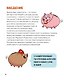Финансовая грамотность для детей. Умные задания от свинки-копилки - фото 14