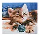 Алмазная мозаика (классическая) с подрамником, с полным заполнением "Сонный котёнок", 30 х 30 см - фото 1