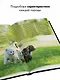 Кошки. Самая полная иллюстрированная энциклопедия - фото 5