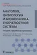 Анатомия, физиология и биомеханика зубочелюстной системы. Учебник для медицинских училищ и колледжей - фото 1
