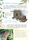 Энциклопедия для мальчиков и девочек. Наша природа - фото 11