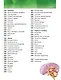 Гигантская энциклопедия школьника - фото 8