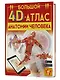 Большой 4D-атлас анатомии человека - фото 6