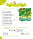 Мои занятия в средней группе 4-5 лет - фото 4