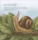 Книжка про зубы - фото 3