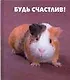 Будь счастлив! - фото 1