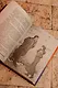 Не драконьте принца! Книга вторая - фото 11