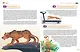 Книга знаний! 365 фактов об окружающем мире - фото 10