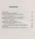 Синтез психологии и педагогики - прорыв в образовании. Рекомендации выдающегося психолога в помощь детским педагогам. По трудам Л. Выготского - фото 2