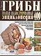Грибы Полная илл. энциклопедия Более 400 видов грибов... (Куреннов) - фото 1