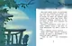 Сказки Волшебного леса: Лесной воришка, Сокровища острова Бузины - фото 7