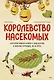Королевство насекомых. Интерактивная книга с окошками о жизни муравьёв, ос и пчёл - фото 1