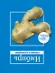 Карри. Имбирь. - фото 2