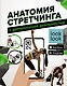 Анатомия стретчинга с дополненной реальностью - фото 1