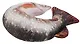 Подушка на шею антистресс «Щука», (40х42 см) - фото 5