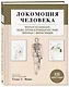 Локомоция человека. Протокол обследования, оценка, лечение и профилактика травм, связанных с циклом походки - фото 3
