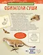 Обитатели суши - фото 2