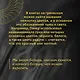 Антихрупкость. Как извлечь выгоду из хаоса - фото 10