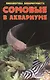 Сомовые в аквариуме - фото 1