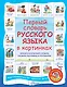 Первый словарь английского языка в картинках / Первый словарь русского языка в картинках. Фразеологический словарь. Словарь пословиц и поговорок - фото 1