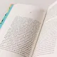 Великий разлом. О строительстве Панамского канала связавшем судьбы. Роман - фото 7