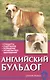 Английский бульдог. Стандарты. Содержание. Разведение. профилактика заболеваний - фото 1