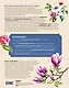 Современное ботаническое искусство. Живопись, графика, скульптура. Мастер-классы в различных техниках от членов ассоциации художников ботанического искусства - фото 2