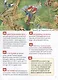 Атлас мира. Энциклопедия российского школьника. 250 фактов - фото 4