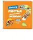 Почему листья желтеют осенью? И другие вопросы о временах года - фото 3