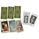 Таро Аввалон, Nicoletta Ceccoli Tarot Таро Николетты Чекколи (карты+инструкция на англ. яз./инструкция на рус. яз. - фото 3