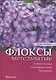 Флоксы метельчатые - фото 1