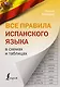 Все правила испанского языка в схемах и таблицах - фото 1