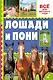 Лошади и пони - фото 1
