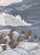 Морж как морж, ничего особенного - фото 2