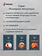 Трилогия Василия Яна (набор из 3 книг: «Чингисхан», «Батый», «К последнему морю») - фото 8