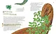 Комплект из 6 книг. Путешествие с динозаврами: древний мир от А до Я - фото 8