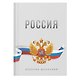 Дневник для ср. и ст.кл. "Россия. Серый" 7БЦ, глянц.ламинация - фото 1